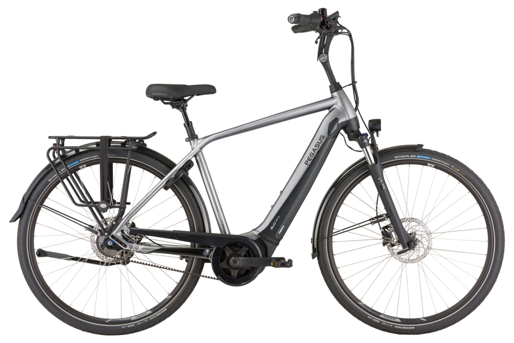 Pegasus-Ravenna-EVO-5-Belt_large